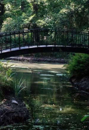 II miejsce Nikoletta Fikas klasa ,,Magia rzeki  The magic of the river”